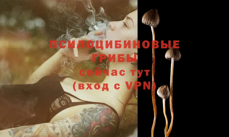 Галлюциногенные грибы Magic Shrooms  Апатиты 